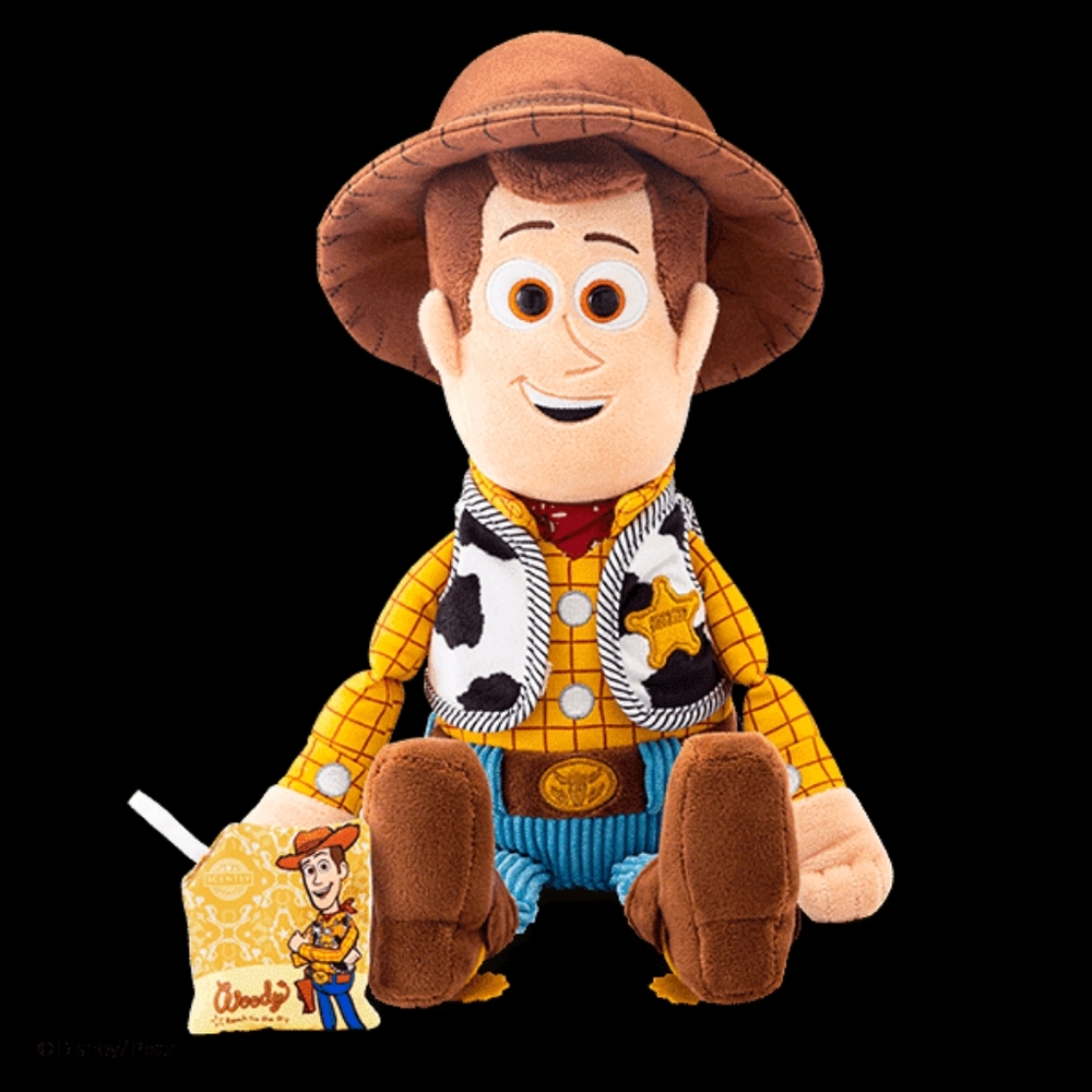 Scentsy woody,  scentsy pack